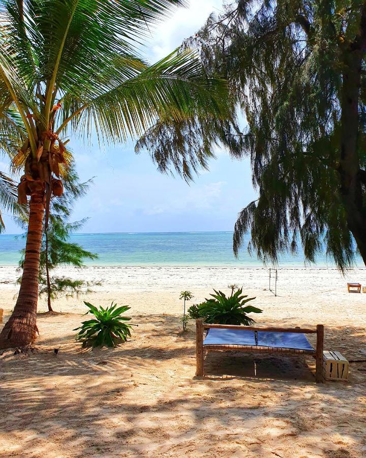Bed and Breakfast Blue Palm Zanzibar Bwejuu Exterior foto