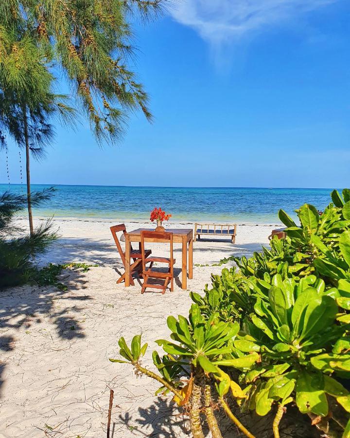 Bed and Breakfast Blue Palm Zanzibar Bwejuu Exterior foto