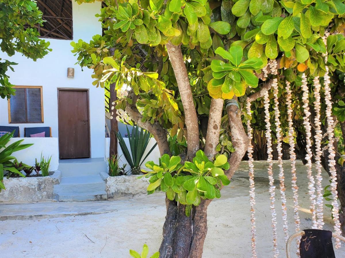 Bed and Breakfast Blue Palm Zanzibar Bwejuu Exterior foto