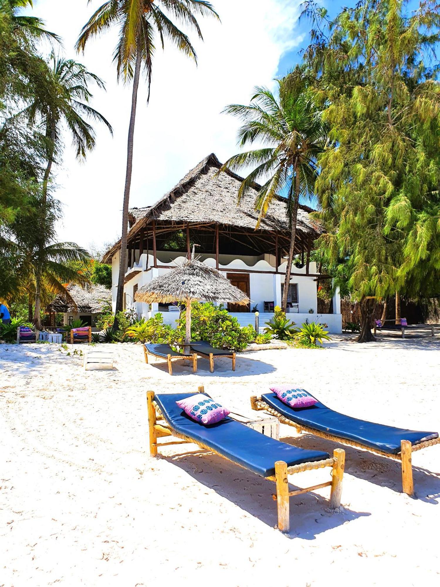 Bed and Breakfast Blue Palm Zanzibar Bwejuu Exterior foto
